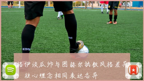 格伊谈瓜帅与图赫尔执教风格差异：核心理念相同表达各异