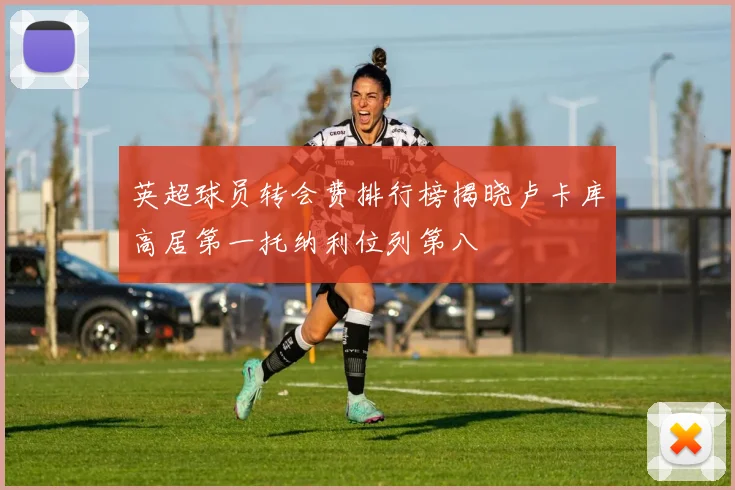 英超球员转会费排行榜揭晓卢卡库高居第一托纳利位列第八